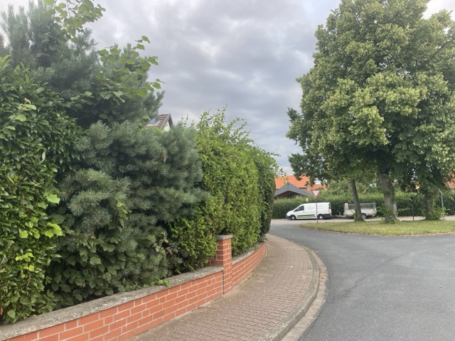 aufkommen des Gewitter in Borsum