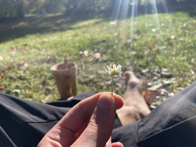 Meditation in der Natur