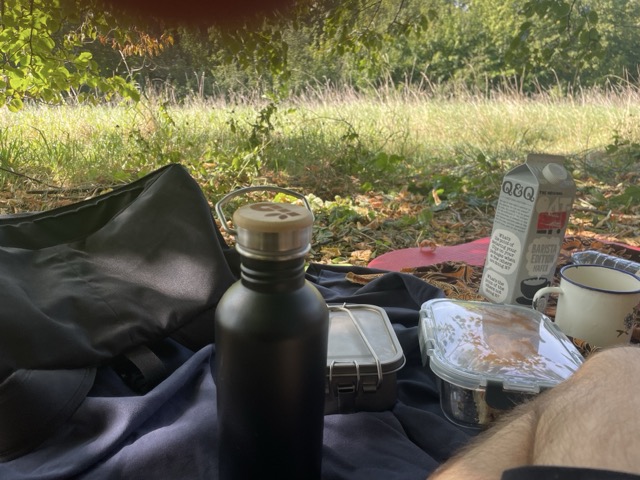 Picknick unter einem Baum