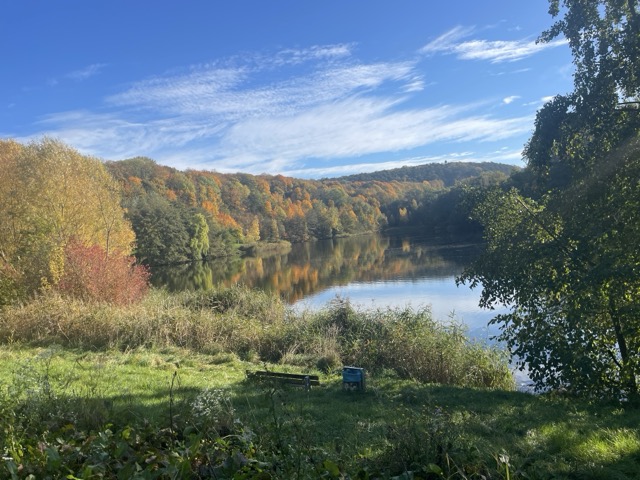 Tonkuhle im Herbst in Hildesheim