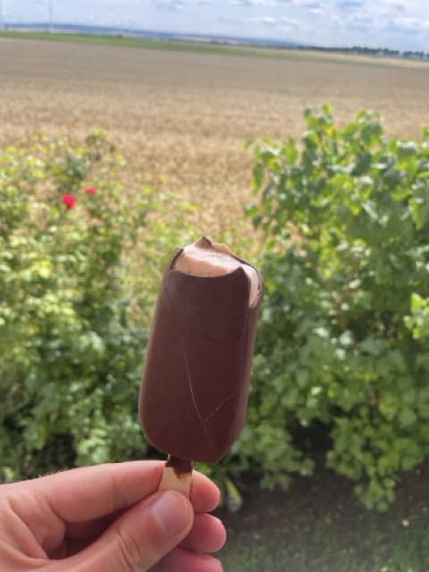 Veganes Magnum-Eis